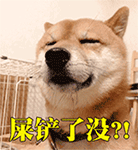 关于早的表情包可爱8 关于早的表情包可爱8