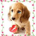 经典的qq自带的表情2 经典的qq自带的表情2