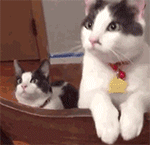 精选12组我玩的表情包图片8