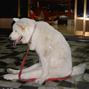 接收biu的表情包6