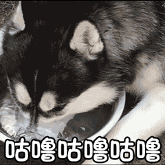 摩尔庄园表情包恶搞版13