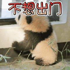 沙雕斗图表情包外国人抖6 沙雕斗图表情包外国人抖6