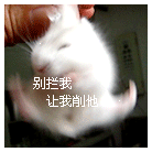 梦幻西游聊天表情代码4