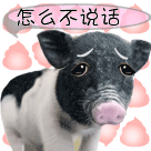 闺蜜沙雕聊天对话表情包5 闺蜜沙雕聊天对话表情包5