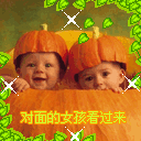 六个经典点评表情6 六个经典点评表情6