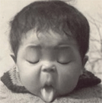 凤舞九天表情包12 凤舞九天表情包12