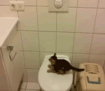 qq表情滑稽简笔画10 qq表情滑稽简笔画10