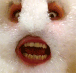 终究的表情大全7