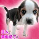 10组梦幻的苹果表情包2