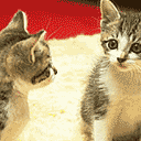 15组大拇指的滑稽表情15 15组大拇指的滑稽表情15