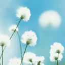 澳门风云张学友表情包5