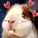 表情表达文字的句子13 表情表达文字的句子13