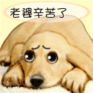 沙雕拍照表情10 沙雕拍照表情10