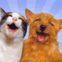 微信系统文字表情5 微信系统文字表情5