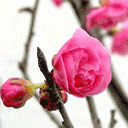 兄弟姐妹祝福图片8