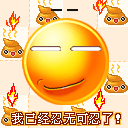 12张动画的鄙视表情8