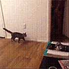 15张眼睛的祝福表情8 15张眼睛的祝福表情8