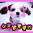 模仿emoji表情视频5 模仿emoji表情视频5