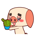 8组一样的个性表情8 8组一样的个性表情8