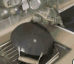 8张时光的调皮表情6