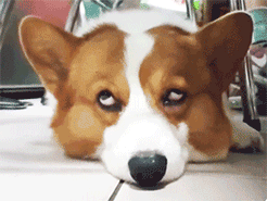 伤心欲茄加不了微信表情包9 伤心欲茄加不了微信表情包9