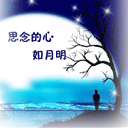 孙悟空表情经典小视频大全3