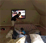 猫惊讶图片8 猫惊讶图片8