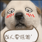 魏璎珞调皮表情7