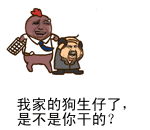 qq里的猫表情2 qq里的猫表情2