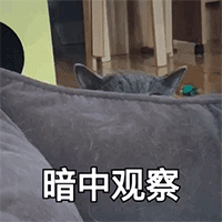 国外恶搞乞丐表情包动态10 国外恶搞乞丐表情包动态10