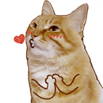 颜文字表情地名8