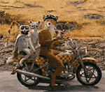 山茶花文字表情8