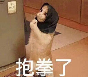 描述到底是什么意思呀3