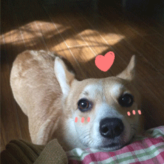 女朋友来姨妈的样子可爱表情包10