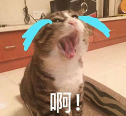 王炸这表情似曾相识那抠鼻14 王炸这表情似曾相识那抠鼻14