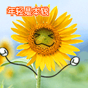 男生回女生可爱的表情包11 男生回女生可爱的表情包11