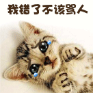 眯眼猫咪躺床上一头雾水表情包10 眯眼猫咪躺床上一头雾水表情包10