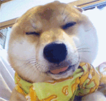 可爱表情包卖萌小人7