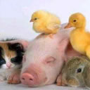 梦幻西游手游龙太子捏脸数据4 梦幻西游手游龙太子捏脸数据4