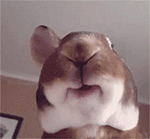 好冷啊表情图11 好冷啊表情图11