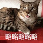 微信柯南表情包5