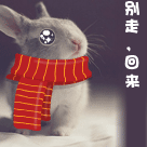 倒着文字表情12 倒着文字表情12