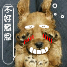 美女模仿动画猫表情图片9 美女模仿动画猫表情图片9