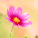 猥琐萌小表情特别小大全6 猥琐萌小表情特别小大全6