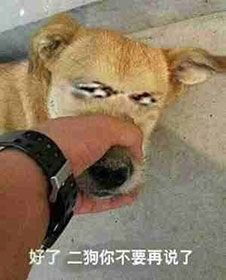 滑稽脸恐龙表情3