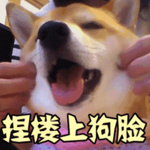 比喻不管的恶搞表情6