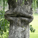 西蒙经典表情包8 西蒙经典表情包8