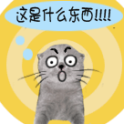 搞笑虫子系列表情包图片8