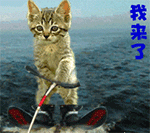 汤姆猫和杰瑞搞笑配音表情包5 汤姆猫和杰瑞搞笑配音表情包5