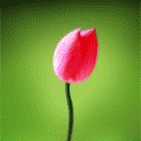 表情包搞笑沙雕图3